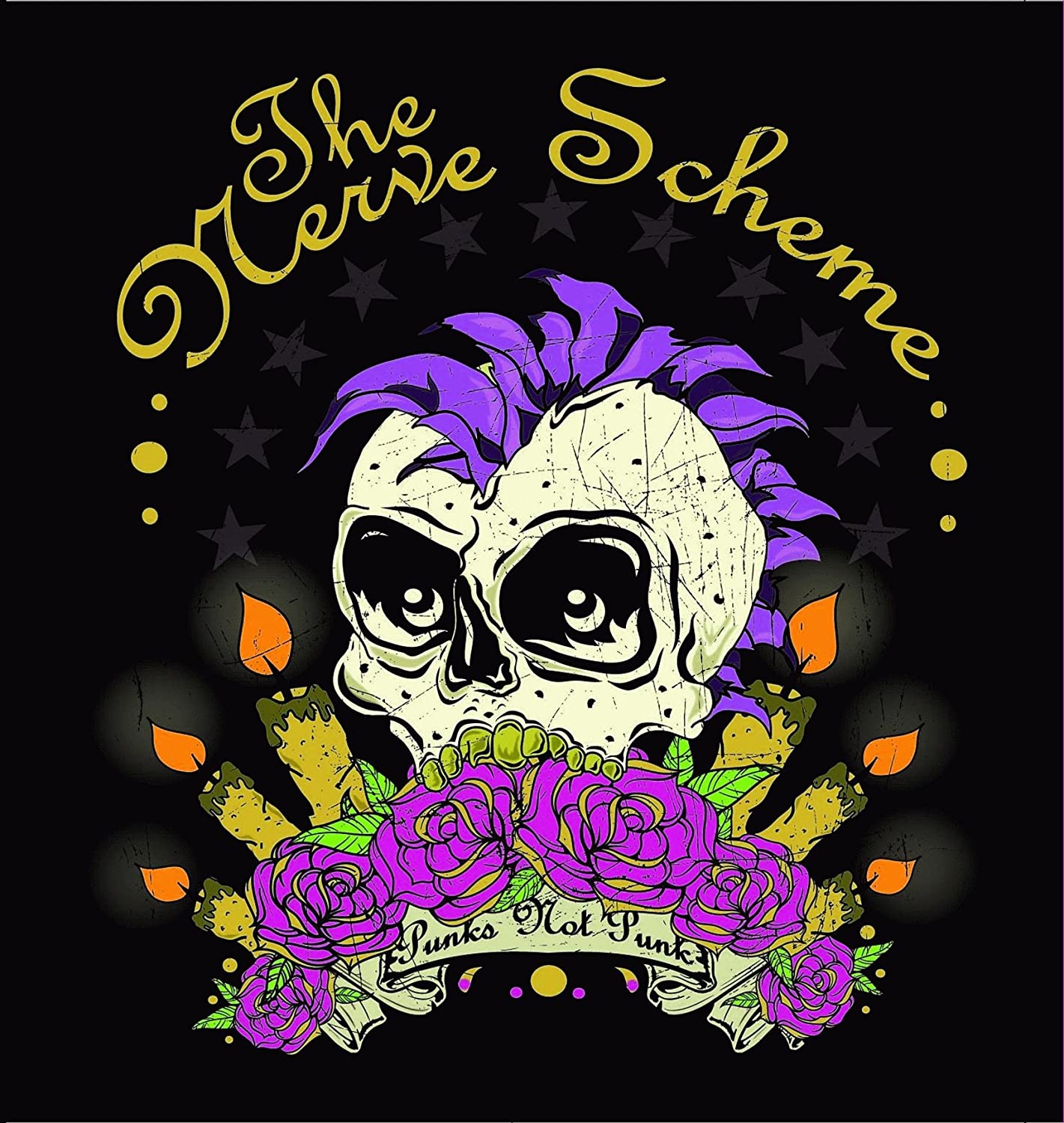The Nerve Scheme - Punks Not Punk 7"