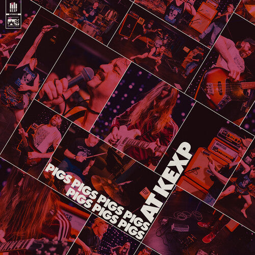 Pigs Pigs Pigs Pigs Pigs Pigs Pigs - Live At KEXP