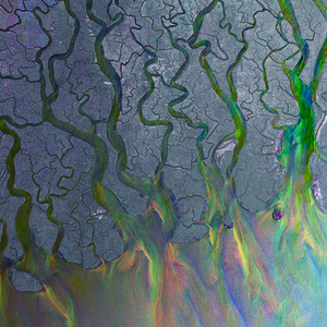 Alt J - An Awesome Wave