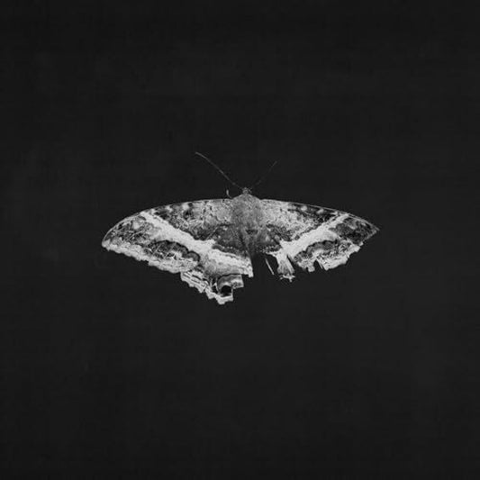 Kendrick Lamar – To Pimp A Butterfly (10th Anniversary) LP Metallic