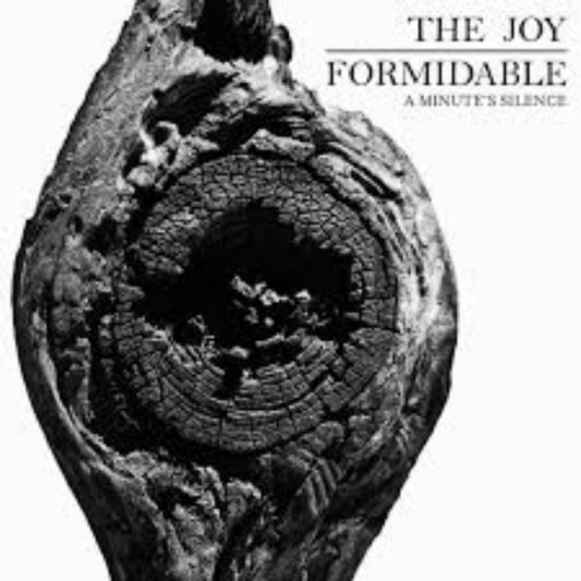 The Joy Formidable - A Minute's Silence