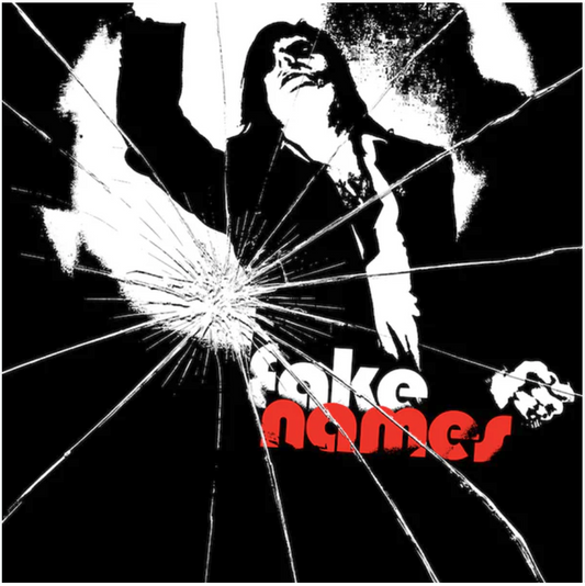 Fake Names S/T 7"