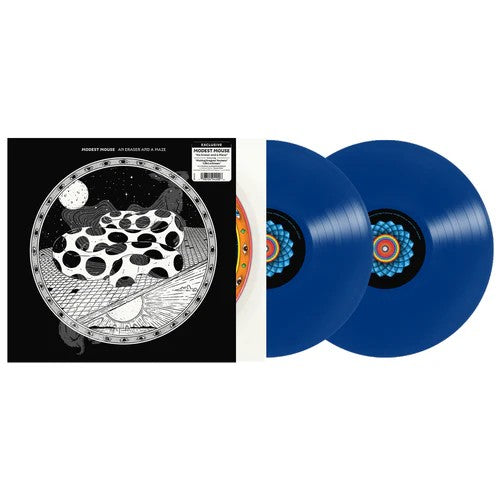 Modest Mouse - An Eraser and a Maze Ocean Floor colored 2X Vinyl LP