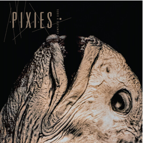Pixies - Complete B Sides: 1988-97 - INDIE EXCLUSIVE - CLEAR VINYL LP