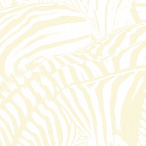 Beach House - Teen Dream 2LP