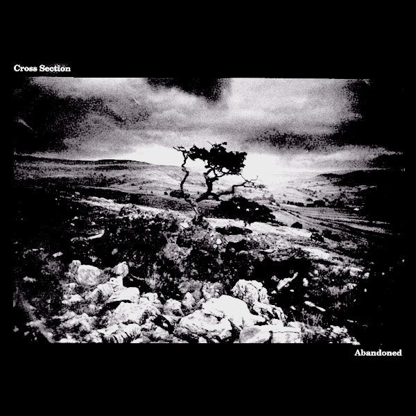 Cross Section - Abandoned 7"