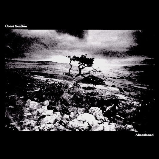 Cross Section - Abandoned 7"