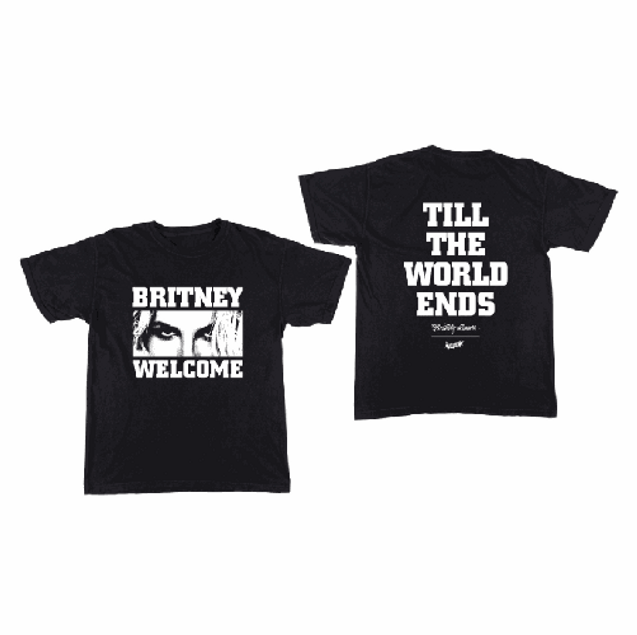 Welcome Skateboards Britney Worlds End Tee Black