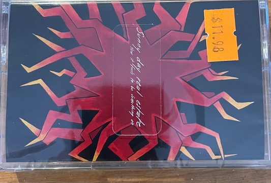 Sunny Day Real Estate - How it feels to be something on