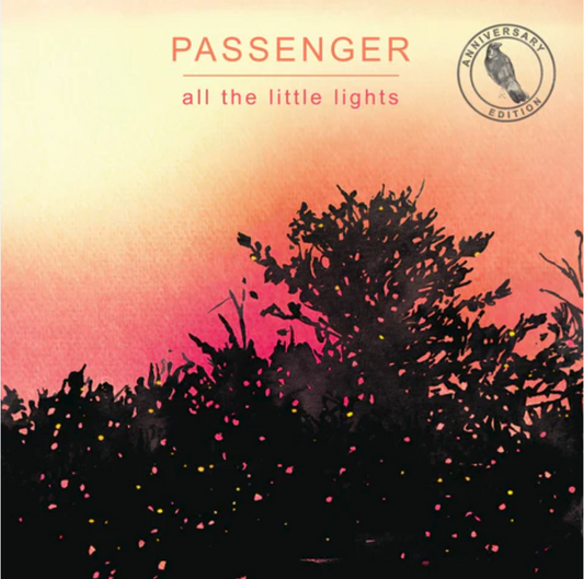 Passenger - all the little lights