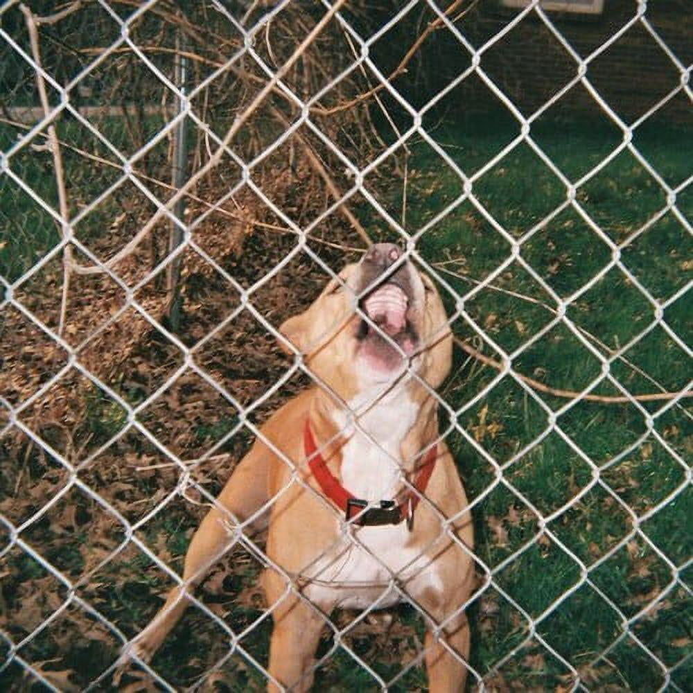 Knocked Loose Pop Culture [Beer & Bone w/ Evergreen Splatter LP]