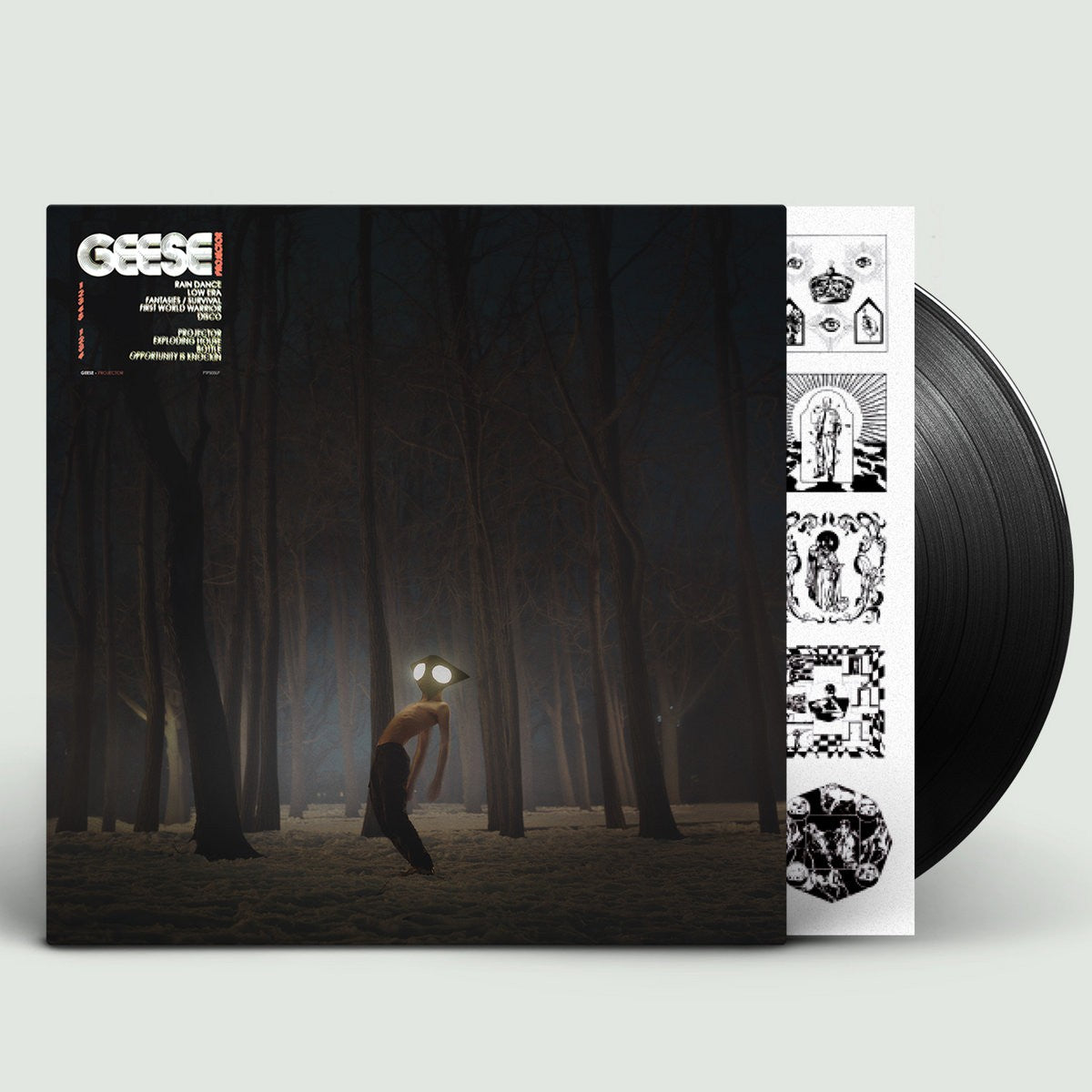 Geese - Projector